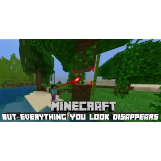 Everything You Look Disappears