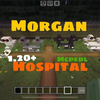 Morgan Hospital 