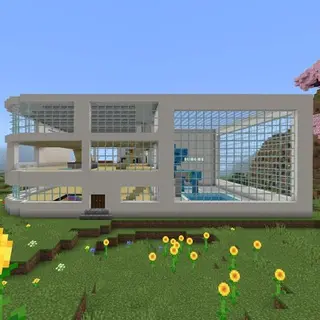 Modern Mansion