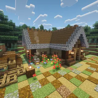 Small Starter House