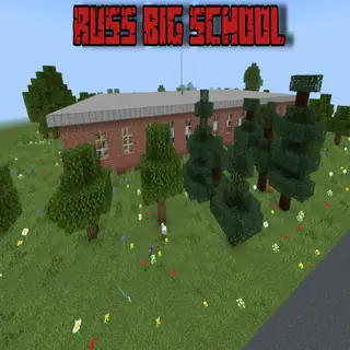Russian big school