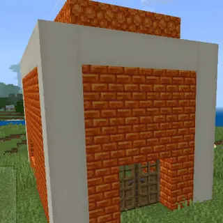 Basic Survival House