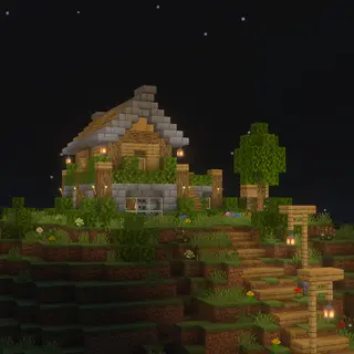 Survival Starter Home!