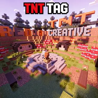 Project TNT Tag