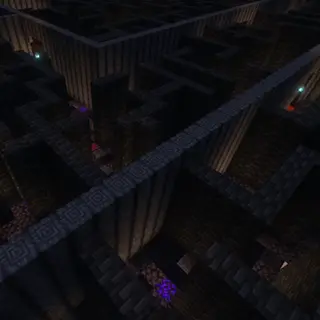 The Maze