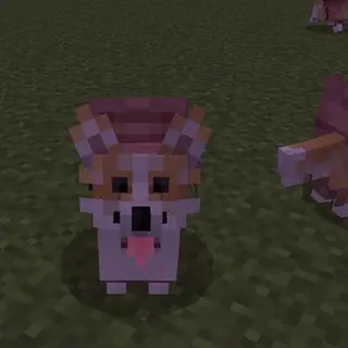 Villager and corgi army