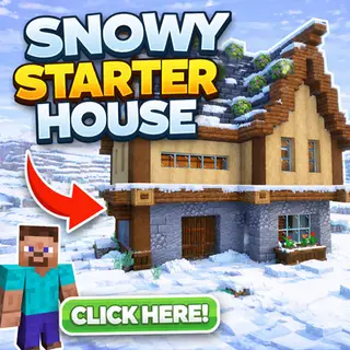 SNOWY STARTER HOUSE