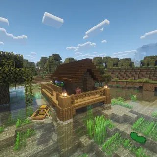 Simple Swamp House