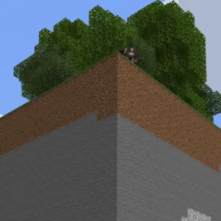 Only A Lonley One Chunk
