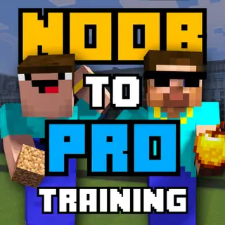 NOOB to PRO training