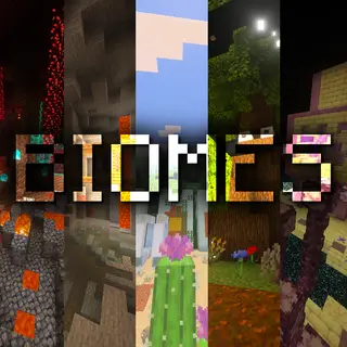 Biomes Hide and Seek