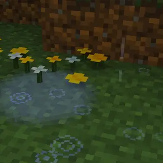 Fused's Better Rain, Splashes & Puddles!