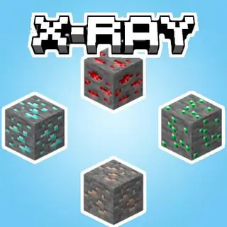 X-Ray by Reisho