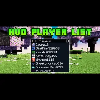 HUD Player List
