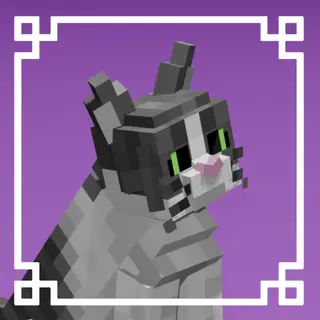 Better Cats!