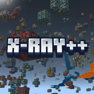 X-ray plus+