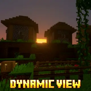 DYNAMIC VIEW