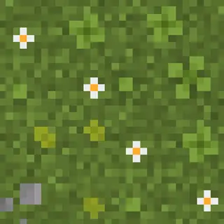 Beautifully Better Grass