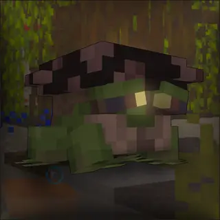 Mushroom frogs