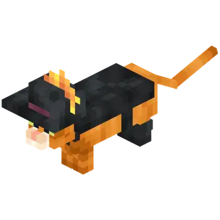 Meow Society
