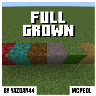 Full Grown Grass