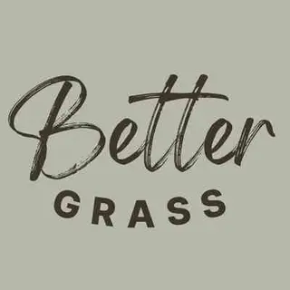Better Grass Blocks