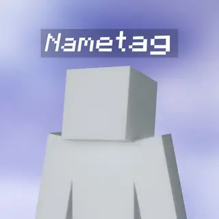 Third Person NameTag