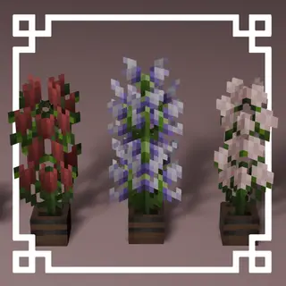 Minimito's Flowers