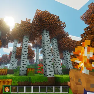 Orange Trees For A&S