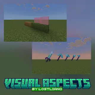 Visual Aspects