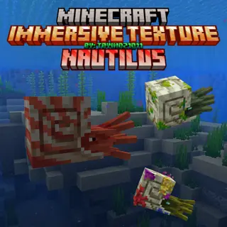 Immersive texture Nautilus