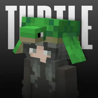 Cute Turtle Helmet V2
