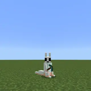 Custom player models