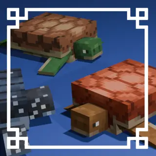 Better Turtle Variants