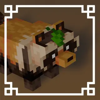Tanukis! (Red Panda)