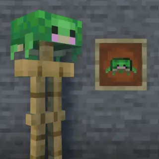 Cute Turtle Helmet Bedrock Port