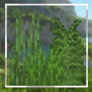Nexus Colorful Grasses