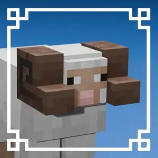 Minecraft Earth Sheeps