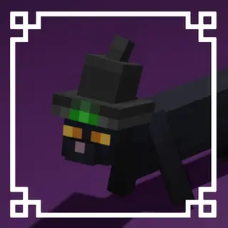 Black Cat With Witch Hat