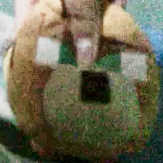 Kawikapi
