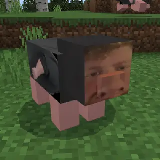 Caseoh Pig Pack