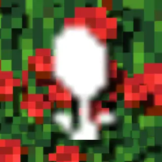 Rascartal's Roses