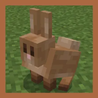 Fix Rabbit
