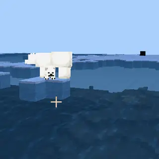 Custom Shield Model BEDROCK EDITION