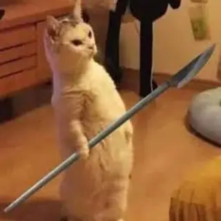 Asian Urban Improvised Spear
