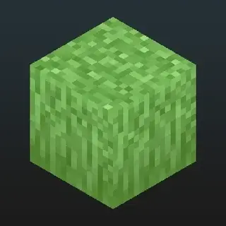 Prabhat's Full Grass