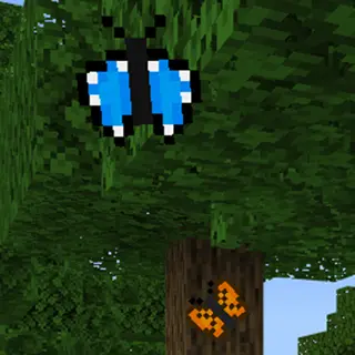 Fused's Butterflies!