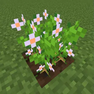 Fancy Crops