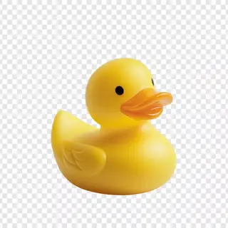 Duck Totem