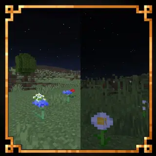 Simple night vision 1.0